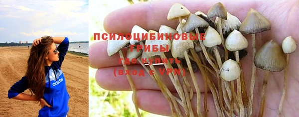 ALPHA-PVP Аркадак