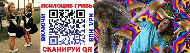 Купить закладки  Петушки  Галлюциногенные грибы Psilocybe 